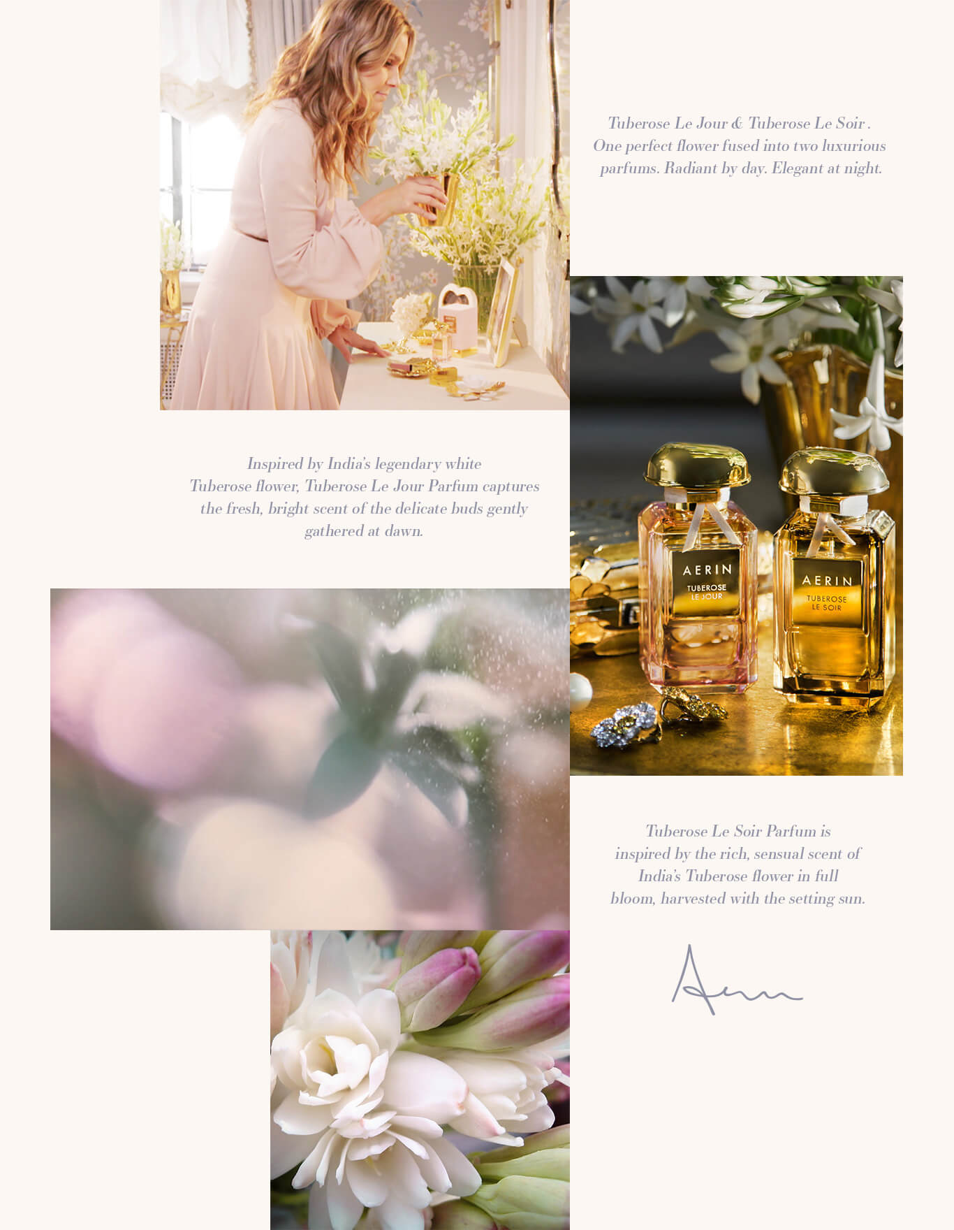 AERIN Tuberose Fragrance Collection for Women Est e Lauder