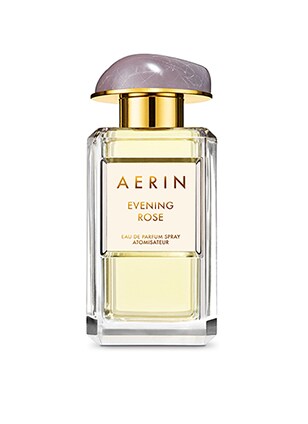 AERIN Evening Rose