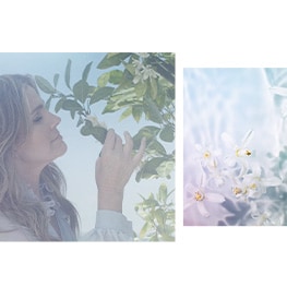 A Voyage of the Senses