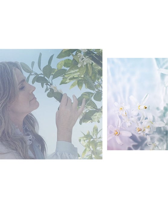 A Voyage of the Senses